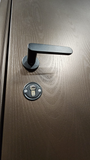 Model X brown wood effect